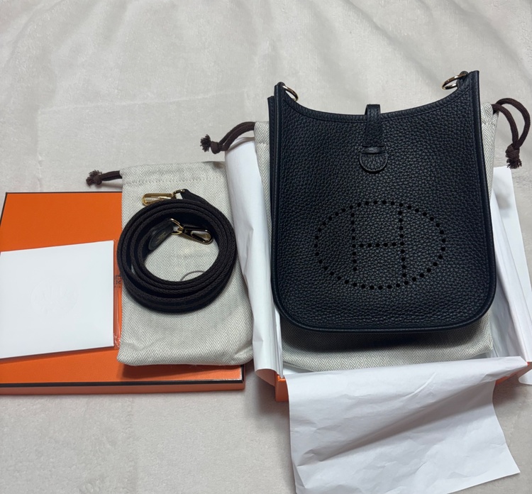 エブリンTPMアマゾン　ノワール（ブランドバッグ）の商品画像 - 査定依頼日：2026年2月7日 - 最高査定価格：380,000円