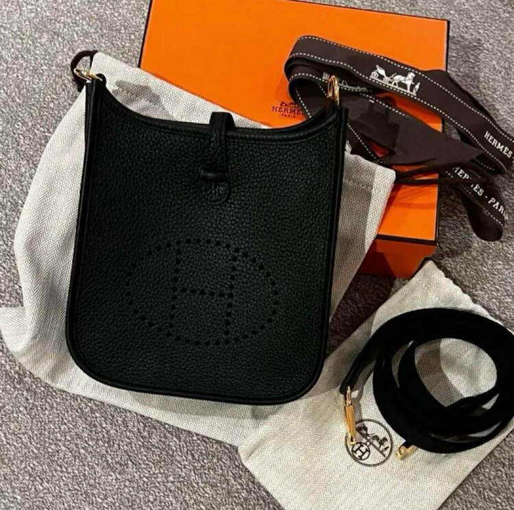 エヴリンTPM（ブランドバッグ）の商品画像 - 査定依頼日：2025年4月8日 - 最高査定価格：400,000円