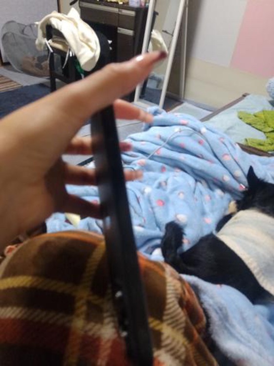 iPhone 16 Pro Max 1TB 楽天モバイル（スマホ）の商品画像 - 査定依頼日：2025年11月13日 - 最高査定価格：100,000円