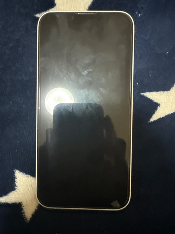 iPhone iPhone 16e 128GB Softbank（スマホ）の商品画像 - 査定依頼日：2026年7月1日 - 最高査定価格：59,000円