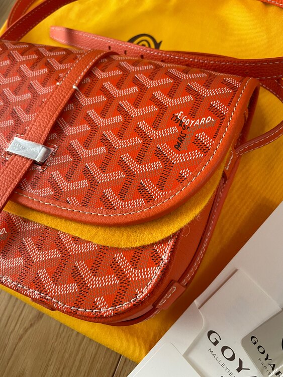 ゴヤール  （ブランドバッグ）の商品画像 - 査定依頼日：2025年5月14日 - 最高査定価格：310,000円