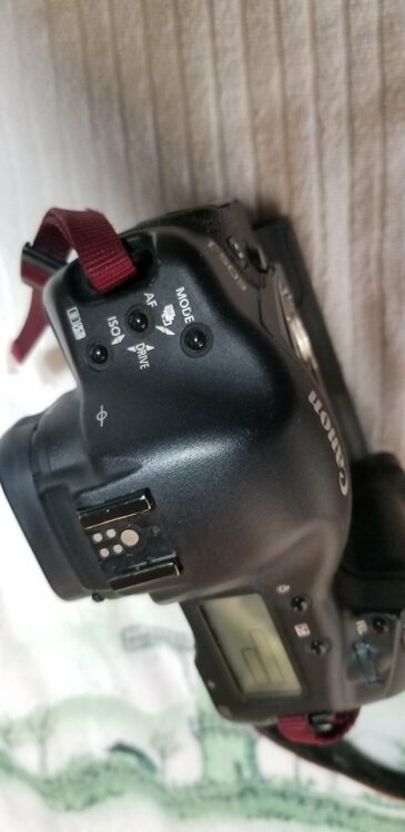 Canon EOS 1D MarkII キヤノン（カメラ）の商品画像 - 査定依頼日：2026年4月15日 - 最高査定価格：15,100円