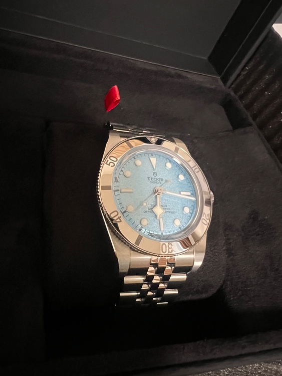 チューダー ブラックベイ M79000-0001（高級時計）の商品画像 - 査定依頼日：2026年3月31日 - 最高査定価格：710,000円