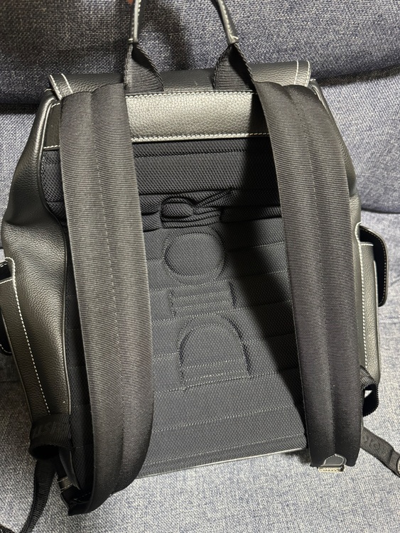 サドルバックパック（ブランドバッグ）の商品画像 - 査定依頼日：2025年8月15日 - 最高査定価格：250,000円
