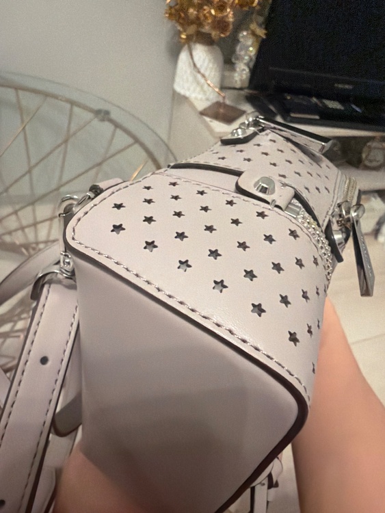 MICHAEL KORS  Mini Perforated LeatherBag（ブランドバッグ）の商品画像 - 査定依頼日：2026年5月5日 - 最高査定価格：2,500円