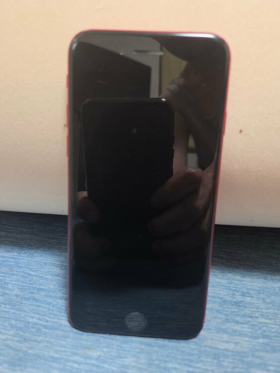 iPhone iPhoneSE 64GB SIMフリー（スマホ）の商品画像 - 査定依頼日：2026年9月26日 - 最高査定価格：13,000円