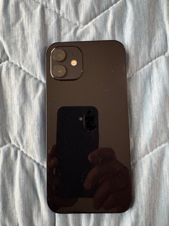 iPhone iPhone 12 64GB docomo（スマホ）の商品画像 - 査定依頼日：2026年9月10日 - 最高査定価格：23,000円