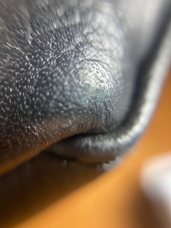 ルイヴィトン ルイヴィトン(その他) （ブランドバッグ）の商品画像 - 査定依頼日：2025年6月27日 - 最高査定価格：280,000円