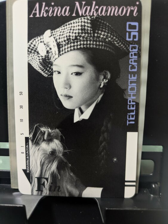 テレフォンカード（チケット・金券）の商品画像 - 査定依頼日：2026年3月8日 - 最高査定価格：100,000円