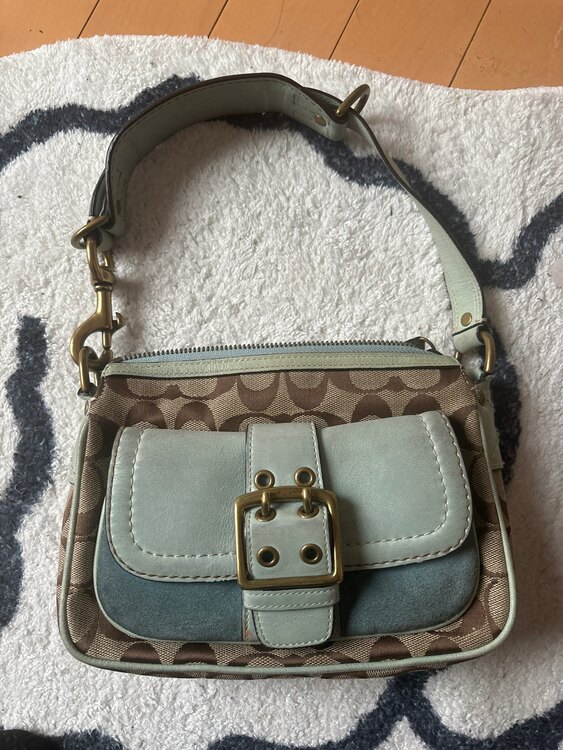 その他 コーチ （ブランドバッグ）の商品画像 - 査定依頼日：2025年5月30日 - 最高査定価格：100,000円