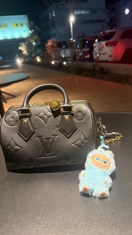 ルイヴィトン スピーディー （ブランドバッグ）の商品画像 - 査定依頼日：2026年2月15日 - 最高査定価格：260,000円