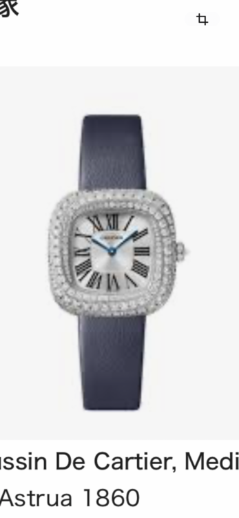 カルティエ その他 WJCS000（高級時計）の商品画像 - 査定依頼日：2026年3月9日 - 最高査定価格：3,200,000円