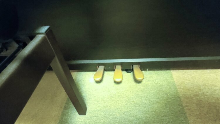 HP503（ピアノ・楽器・PA機材）の商品画像 - 査定依頼日：2026年2月20日 - 最高査定価格：5,000円