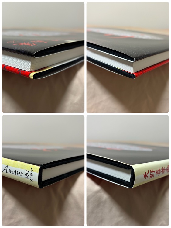 天野喜孝画集「吸血鬼ハンターD」かんおけ【初版】（美術品・骨董品）の商品画像 - 査定依頼日：2025年11月15日 - 最高査定価格：7,500円