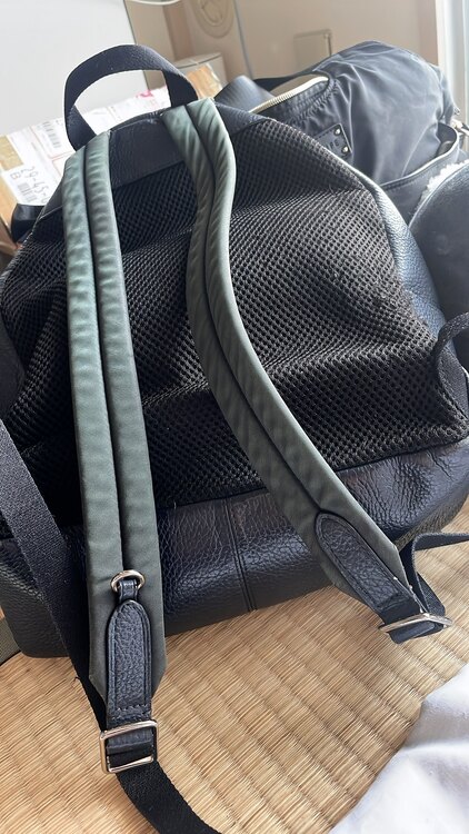 グッチ  （ブランドバッグ）の商品画像 - 査定依頼日：2024年12月30日 - 最高査定価格：3,000円