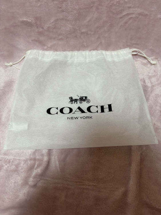 その他 コーチ （ブランドバッグ）の商品画像 - 査定依頼日：2025年6月5日 - 最高査定価格：5,000円
