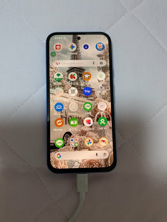 Pixel Pixel 8aシリーズ SIMフリー（スマホ）の商品画像 - 査定依頼日：2026年9月20日 - 最高査定価格：24,000円