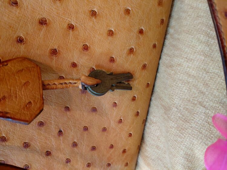 オーストリッチケリーバッグ（ブランドバッグ）の商品画像 - 査定依頼日：2025年8月7日 - 最高査定価格：2,000,000円