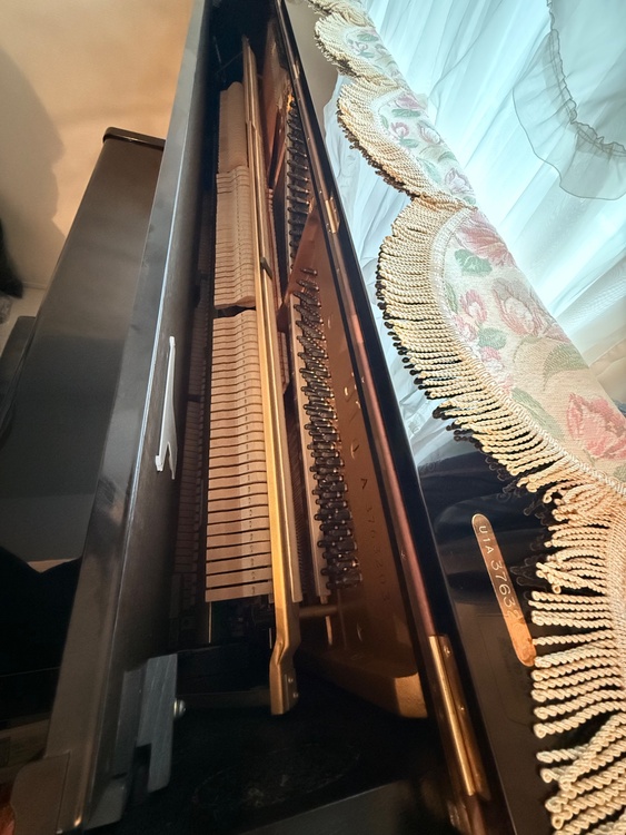 3763203（ピアノ・楽器・PA機材）の商品画像 - 査定依頼日：2026年3月20日 - 最高査定価格：40,000円