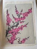 紅梅（美術品・骨董品）の商品画像 - 査定依頼日：2026年6月29日 - 最高査定価格：2,000円
