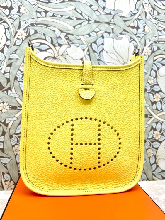 エブリンtpm（ブランドバッグ）の商品画像 - 査定依頼日：2026年2月20日 - 最高査定価格：300,000円