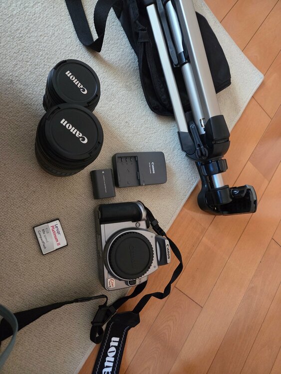 EOS KISS デジタルN（カメラ）の商品画像 - 査定依頼日：2026年8月4日 - 最高査定価格：3,000円