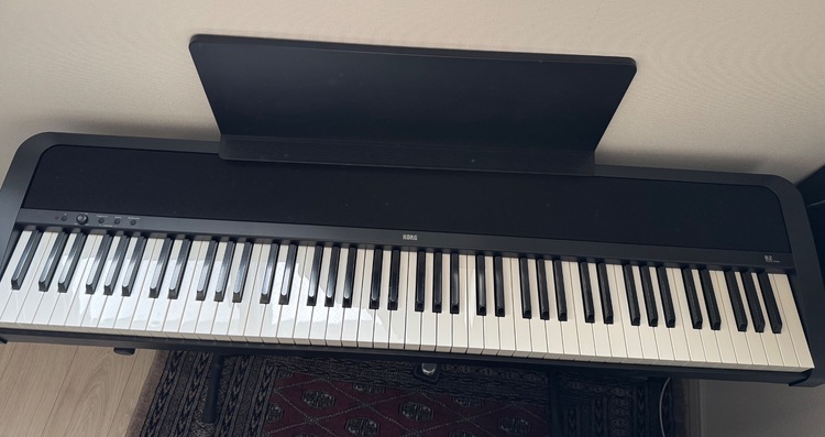 B2（ピアノ・楽器・PA機材）の商品画像 - 査定依頼日：2025年11月8日 - 最高査定価格：5,000円