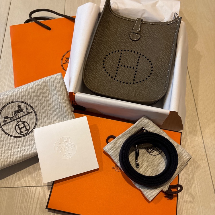 エブリンアマゾーヌtpm16 エトゥープ（ブランドバッグ）の商品画像 - 査定依頼日：2025年7月19日 - 最高査定価格：370,000円