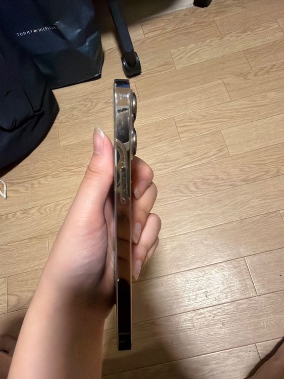 iPhone iPhone 13 Pro 256GB SIMフリー（スマホ）の商品画像 - 査定依頼日：2026年9月16日 - 最高査定価格：48,500円