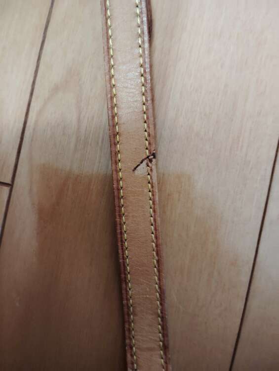 ミニサンクルー（ブランドバッグ）の商品画像 - 査定依頼日：2025年3月5日 - 最高査定価格：28,000円