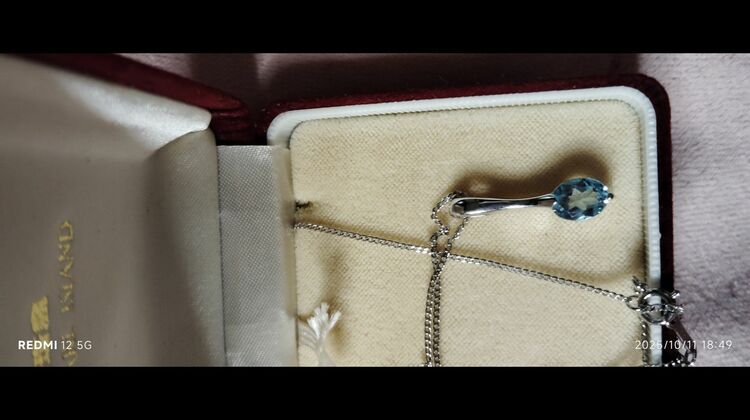 シルバーネックレス925（金・貴金属）の商品画像 - 査定依頼日：2025年10月12日 - 最高査定価格：1,000円