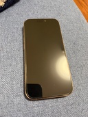 iPhone iPhone 16 Pro 256GB SIMフリー（スマホ）の商品画像 - 査定依頼日：2026年7月22日 - 最高査定価格：135,000円