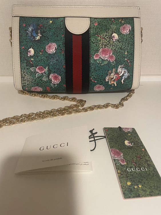 オフィディア・チェーンショルダーバッグ 日本限定ヒグチユウココラボ商品（ブランドバッグ）の商品画像 - 査定依頼日：2022年4月5日 - 最高査定価格：142,000円