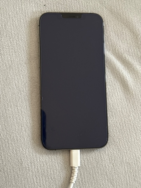 iPhone 12 Pro Max 256GB SIMフリー（スマホ）の商品画像 - 査定依頼日：2026年2月5日 - 最高査定価格：47,000円