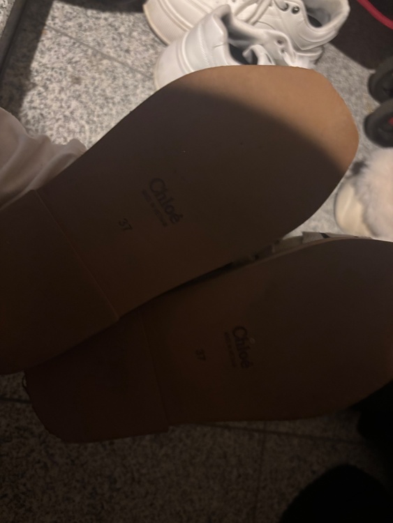 その他 クロエ （ブランドバッグ）の商品画像 - 査定依頼日：2026年1月14日 - 最高査定価格：10,000円