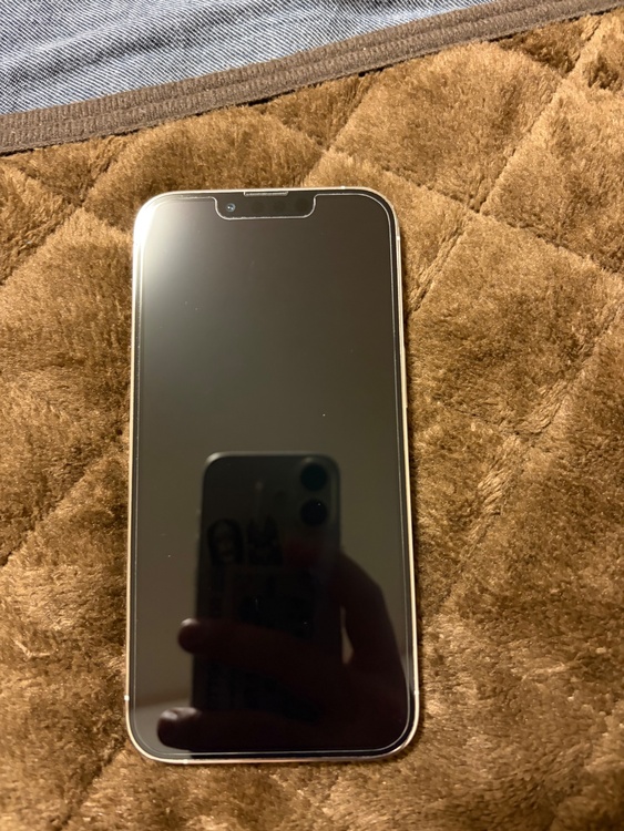 iPhone 13 Pro 256GB Softbank（スマホ）の商品画像 - 査定依頼日：2026年1月21日 - 最高査定価格：53,000円