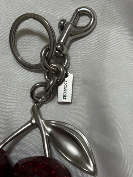 チェリーバックチャーム  縦12.5cm x 横7.5cm No. 77840（ブランド財布・小物）の商品画像 - 査定依頼日：2025年7月28日 - 最高査定価格：1,000円