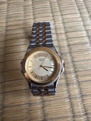 セイコー その他 bjb1-6a2（高級時計）の商品画像 - 最高査定価格：480,000円