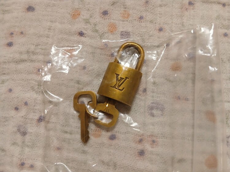 アルマ（ブランドバッグ）の商品画像 - 査定依頼日：2026年2月21日 - 最高査定価格：60,000円