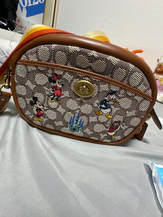 ショルダーバッグ（ブランドバッグ）の商品画像 - 査定依頼日：2025年5月23日 - 最高査定価格：3,500円