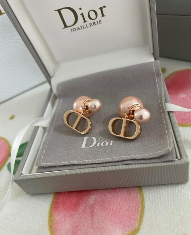 ディオール  （ブランドバッグ）の商品画像 - 査定依頼日：2025年5月22日 - 最高査定価格：40,000円