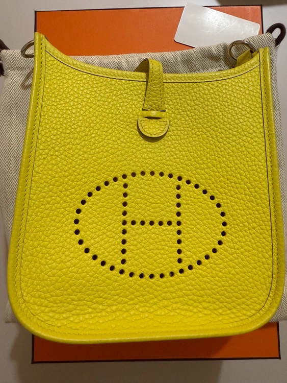 エブリンTPM アマゾーヌ　ライム　シルバー金具（ブランドバッグ）の商品画像 - 査定依頼日：2026年4月8日 - 最高査定価格：320,000円