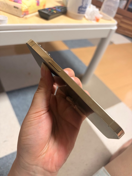 iPhone iPhone 13 Pro 256GB docomo（スマホ）の商品画像 - 査定依頼日：2026年6月25日 - 最高査定価格：55,000円