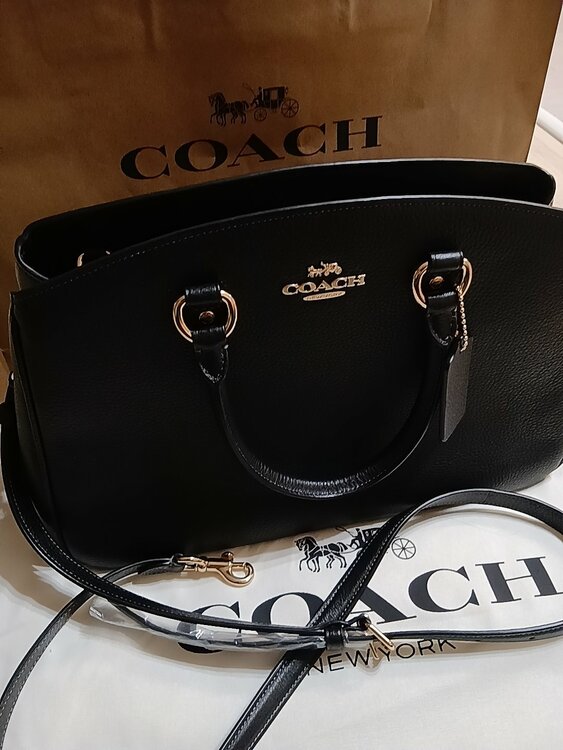 その他 コーチ （ブランドバッグ）の商品画像 - 査定依頼日：2026年3月21日 - 最高査定価格：3,500円