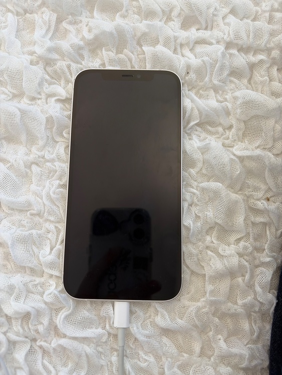 iPhone iPhone 12 128GB SIMフリー（スマホ）の商品画像 - 査定依頼日：2026年9月24日 - 最高査定価格：25,500円