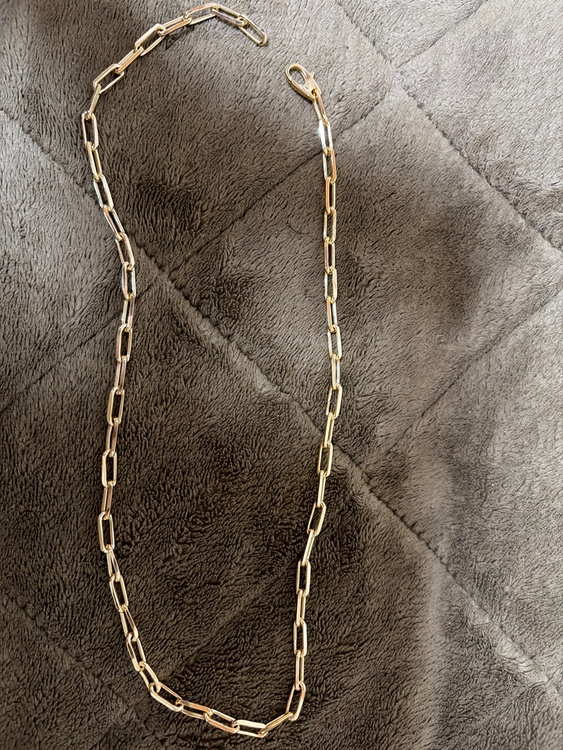 ネックレス（金・貴金属）の商品画像 - 査定依頼日：2026年1月23日 - 最高査定価格：750,000円