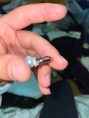 パール指輪（金・貴金属）の商品画像 - 査定依頼日：2026年3月25日 - 最高査定価格：50,000円