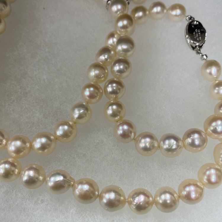 パールネックレス（宝石）の商品画像 - 査定依頼日：2024年10月13日 - 最高査定価格：50,000円