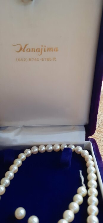 ネックレス（宝石）の商品画像 - 査定依頼日：2026年3月30日 - 最高査定価格：100円