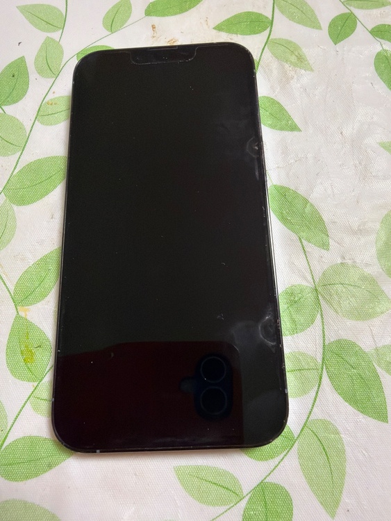 iPhone iPhone 13 Pro 256GB Softbank（スマホ）の商品画像 - 査定依頼日：2026年6月24日 - 最高査定価格：55,000円
